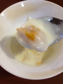 簡単♪マンゴーヨーグルト-レシピのメイン写真