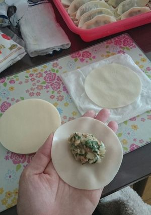 手作り餃子★簡単最速★汚れない包み方-レシピのメイン写真