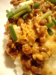 卵納豆丼-レシピのメイン写真