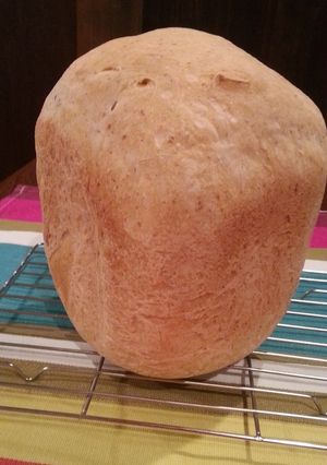うちの定番 フランスパン風食パン-レシピのメイン写真