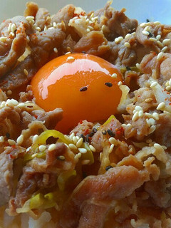 簡単豚丼-レシピのメイン写真