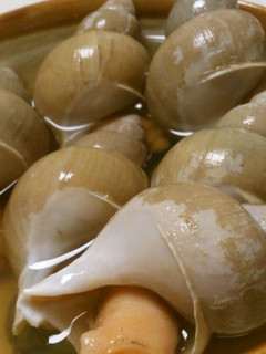 【おすすめ】届かぬ味わひ…ばい貝…煮-レシピのメイン写真