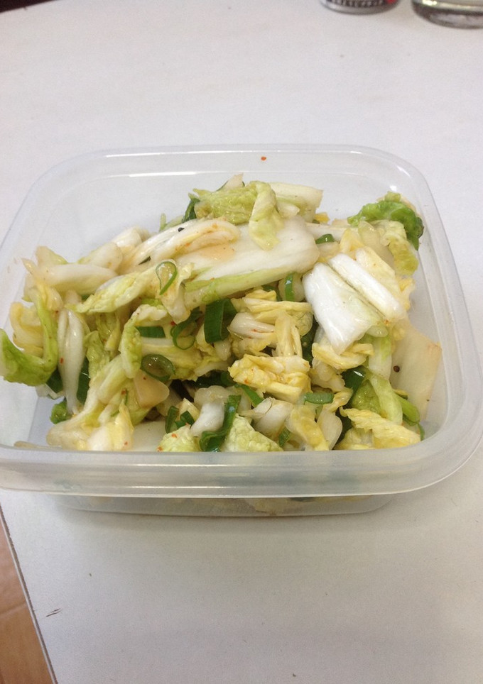 3分で作れるかんたん白菜の浅漬け-レシピのメイン写真