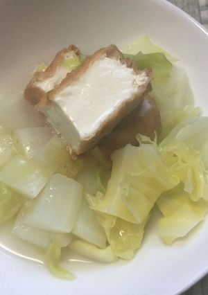 犬ごはん・厚揚げと大根のとろみ煮-レシピのメイン写真
