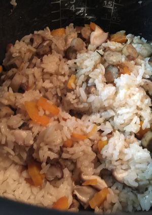犬ごはん・ヘルシー炊き込みご飯-レシピのメイン写真