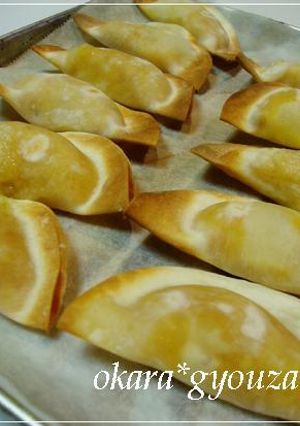 ノンオイル★餃子の皮でおからのチーズ焼き-レシピのメイン写真