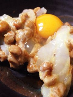 イカ納豆-レシピのメイン写真