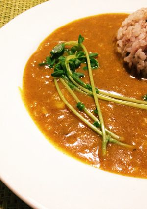 早い、簡単スパイスマクロビカレー-レシピのメイン写真