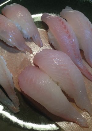 握り寿司「釣果の握り」-レシピのメイン写真