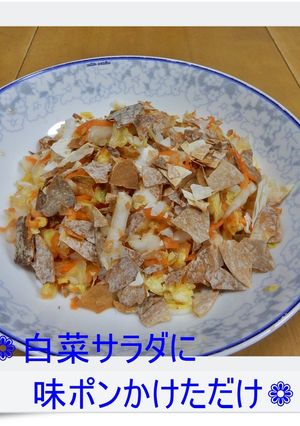 ❁白菜のサラダに味ポンかけただけ～❁-レシピのメイン写真