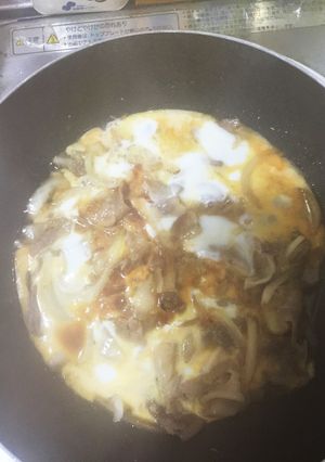 【男の料理シリーズ】他人丼-レシピのメイン写真