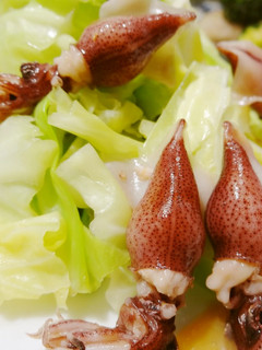 春キャベツとほたるいかの炒め和え-レシピのメイン写真