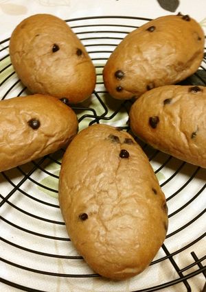 チョコチップパン-レシピのメイン写真