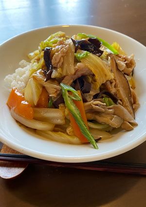 野菜たっぷり五目あんかけご飯-レシピのメイン写真