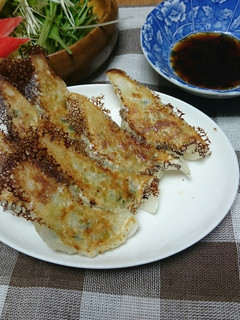 野菜たっぷり餃子-レシピのメイン写真