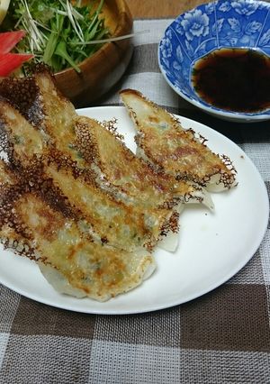 野菜たっぷり餃子-レシピのメイン写真
