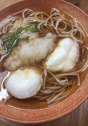 もち入りのにゅうめん(大根おろしのせた)-レシピのメイン写真