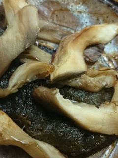 大きい冷凍・平茸とトロロ昆布の焼きキノコ-レシピのメイン写真