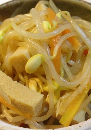 ✿高野豆腐と大豆もやしの油炒め-レシピのメイン写真