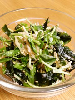 切り干し大根と豆苗サラダ-レシピのメイン写真
