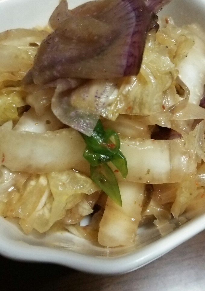 白菜大根ネギの塩昆布漬-レシピのメイン写真