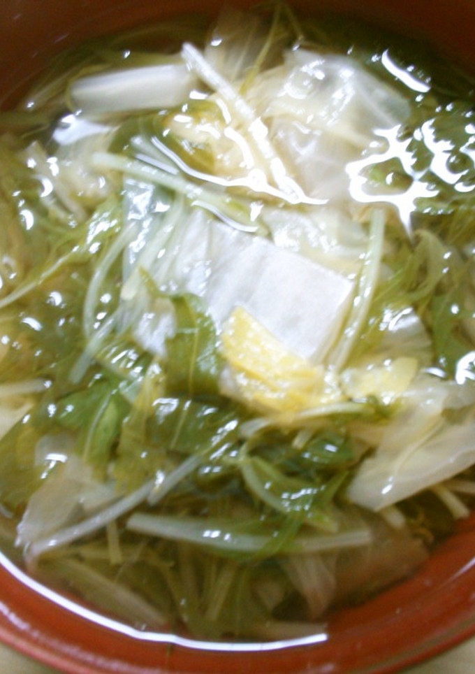 簡単♪ 白菜 水菜の お吸い物 白だし入-レシピのメイン写真