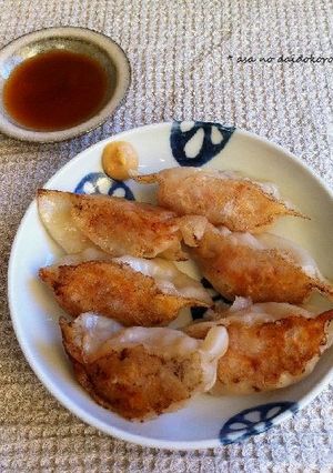 白菜と餅の餃子-レシピのメイン写真