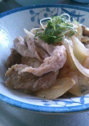 たっぷり玉ねぎ！簡単しょうが焼き丼-レシピのメイン写真