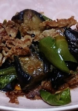 豚肉となすのねぎ生姜醤油炒め-レシピのメイン写真