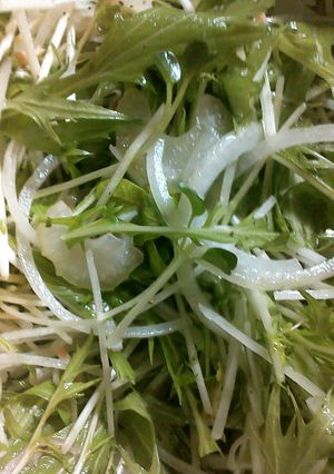 水菜とセロリのサラダ-レシピのメイン写真