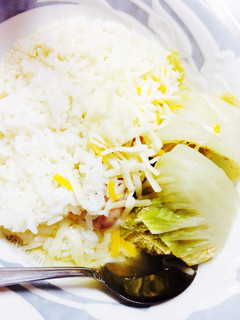 簡単 ロール白菜-レシピのメイン写真