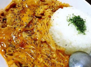 子供も大好き♡ポークストロガノフ♡-レシピのメイン写真