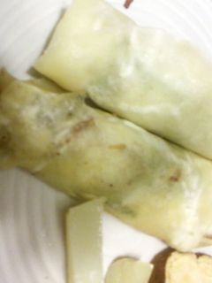 焼豚春巻き-レシピのメイン写真