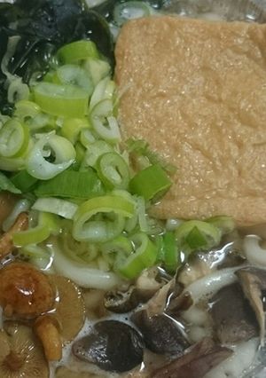 即席鍋焼きうどんに冷凍きのこ、ネギ具沢山-レシピのメイン写真