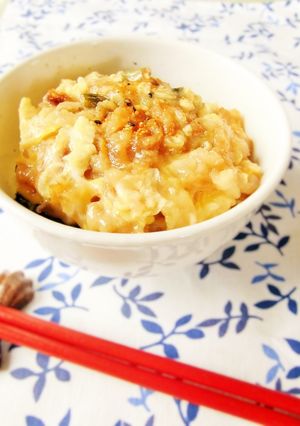 簡単ランチに☆天とじ丼-レシピのメイン写真