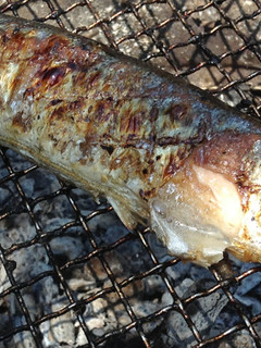 秋刀魚の炭火焼き-レシピのメイン写真