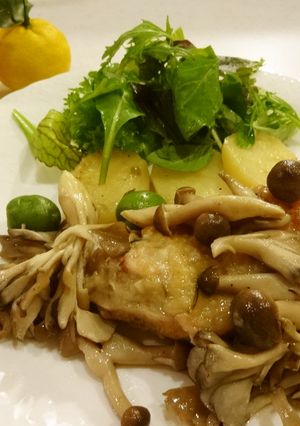 鶏肉ときのこのカチャトーラ-レシピのメイン写真