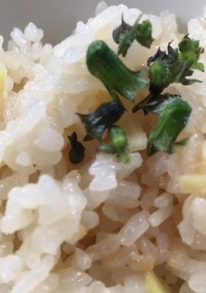 身体ぽかぽか☆生姜ご飯♪簡単-レシピのメイン写真