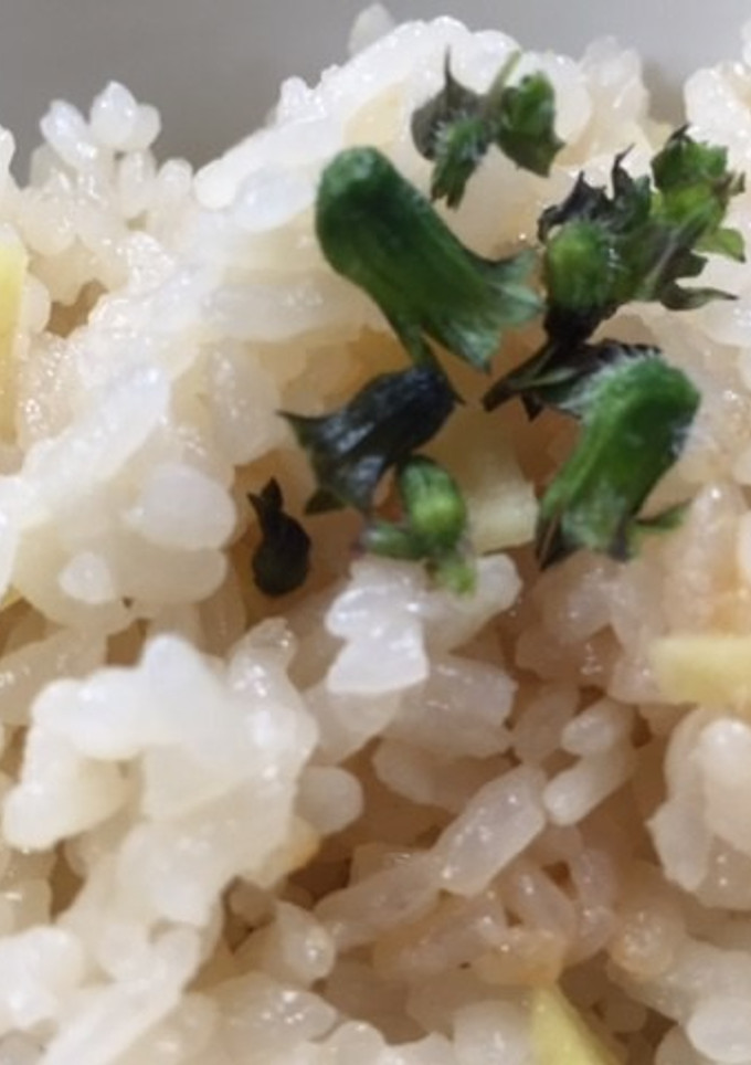 身体ぽかぽか☆生姜ご飯♪簡単-レシピのメイン写真