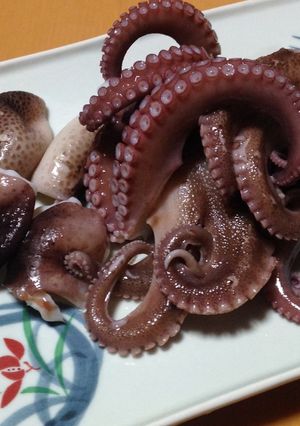 イイダコの刺身-レシピのメイン写真