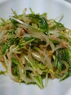 シャキシャキ水菜ともやしの中華サラダ-レシピのメイン写真