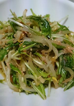 シャキシャキ水菜ともやしの中華サラダ-レシピのメイン写真