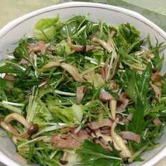 รูปของ ☆水菜としめじとハムの冬サラダ