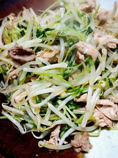 豚肉と豆苗ともやしのオイスター炒め-レシピのメイン写真