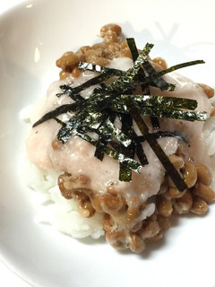 犬ごはん・ねばねばスタミナ丼-レシピのメイン写真