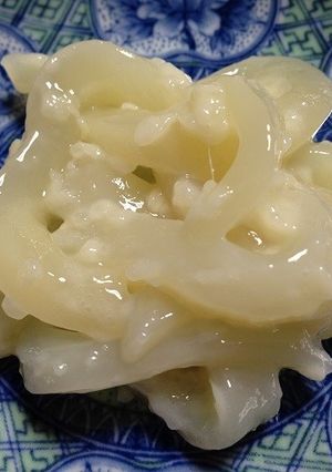 いかの麹漬け-レシピのメイン写真