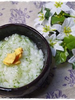 離乳食中期 黄身とほうれん草のおかゆ-レシピのメイン写真