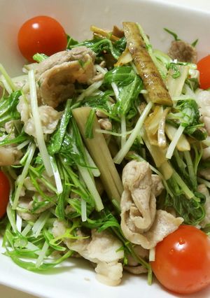 ゴボウと豚肉と水菜のレモン塩炒め-レシピのメイン写真