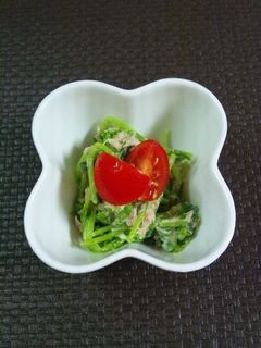 豆苗とツナのサラダ-レシピのメイン写真