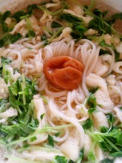 油揚げと豆苗のみぞれ鍋風にゅうめん-レシピのメイン写真